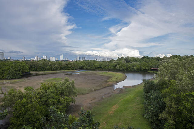 全球连线 湿地之美·新加坡双溪布洛湿地