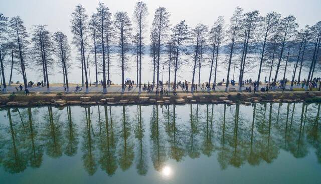 新华全媒+ 近五分之一面积都是湿地，这座“国际湿地之城”藏着哪些奥秘？