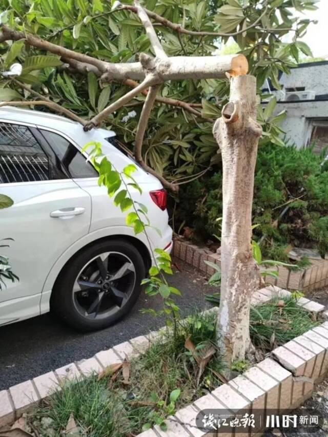 深夜巨响，两车被砸！杭州杭城小区一幕让业主急了：谁干的？