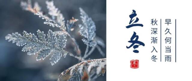 明日立冬，但上海仍在深秋！下周末冷空气来袭，注意添衣