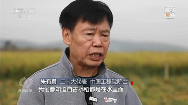 焦点访谈丨党代表回基层：共推高质量发展