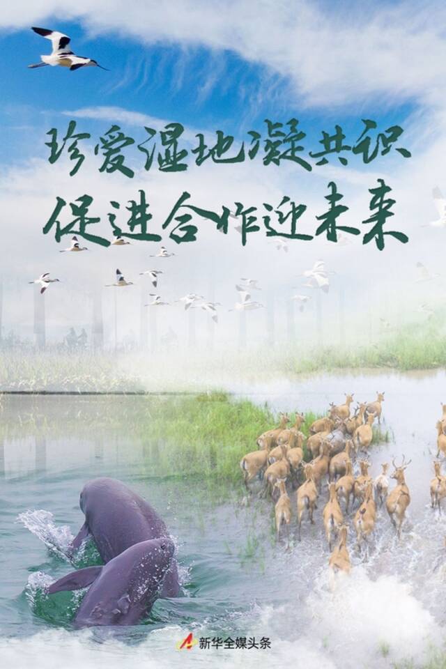 珍爱湿地凝共识 促进合作迎未来——写在《湿地公约》第十四届缔约方大会举办之际