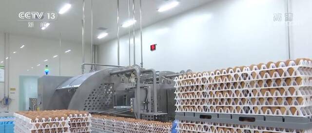 提升现代禽蛋产业竞争力 全链条助力乡村振兴