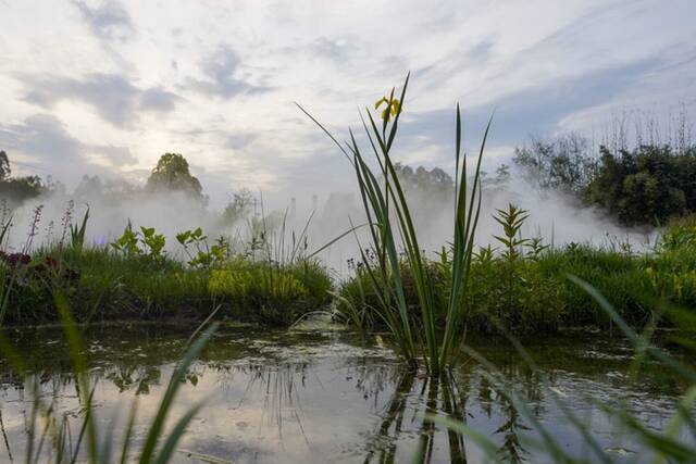 重庆市梁平区双桂湖畔三峡竹博园内的小微湿地景观。新华社记者刘潺摄
