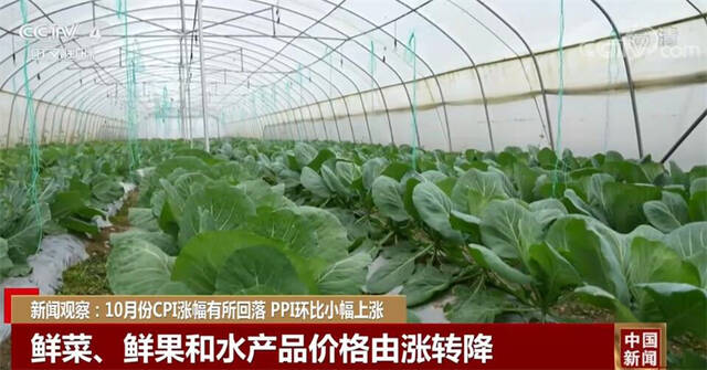 新闻观察：10月份CPI涨幅有所回落 PPI环比小幅上涨