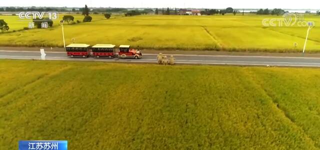 江苏苏州：21万多亩稻田收割 丰收美景带动乡村游