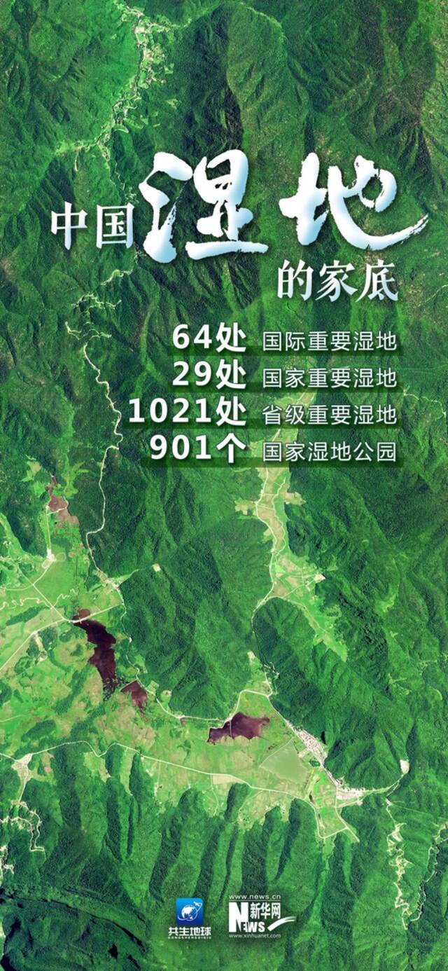 卫星“瞰”湿地，颜值与实力并存