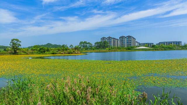 梁平乡村小微湿地