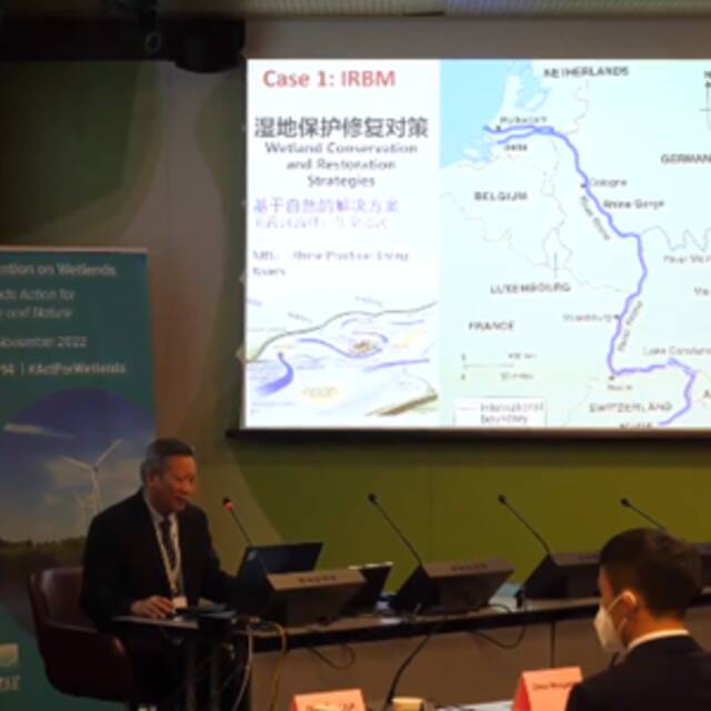 全球连线｜中国履行《湿地公约》30年成效惠及全球