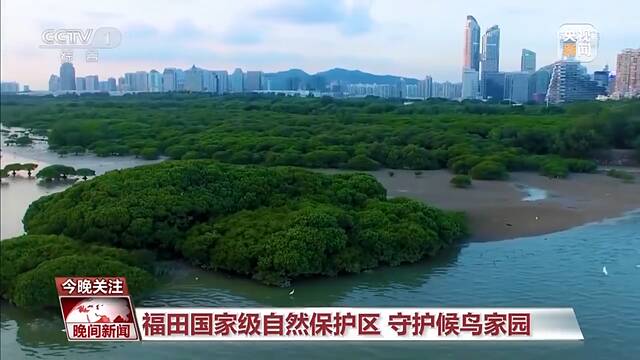 珍爱湿地 中国成为“国际湿地城市”最多的国家