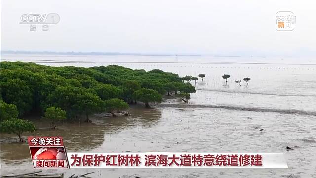 珍爱湿地 中国成为“国际湿地城市”最多的国家