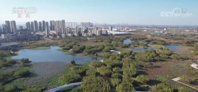 湿地绘就城市发展生态底色