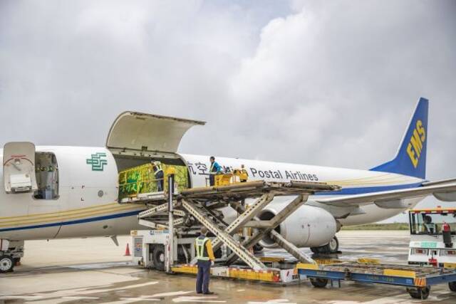 7月2日，中国邮政航空公司一架波音B737全货机在装载巫山脆李。（黄伟摄）