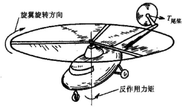 上《新闻联播》，进高考题，她每年火一次