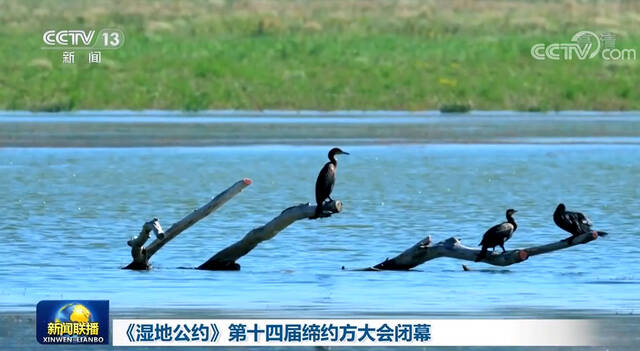 《湿地公约》第十四届缔约方大会闭幕