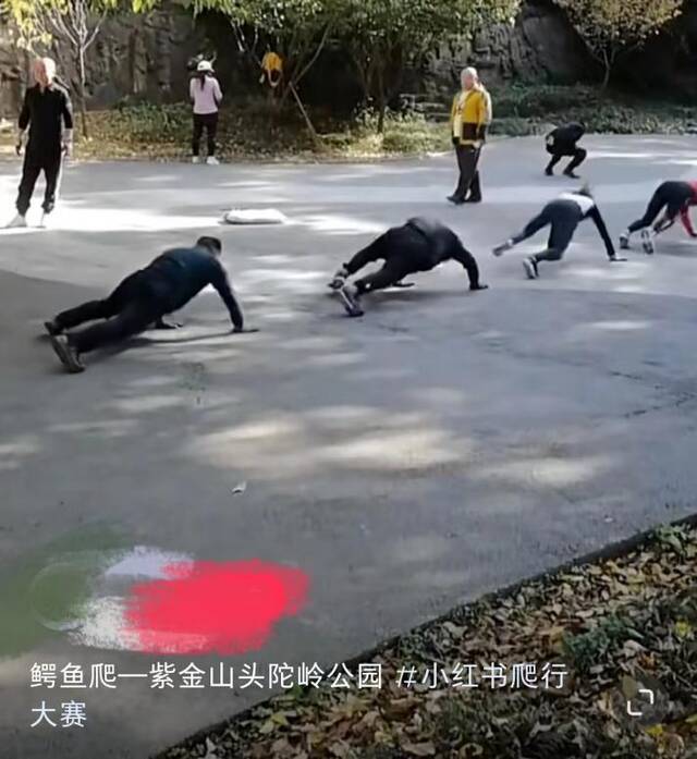 网友晒出在公园爬行的视频。图片源自网络