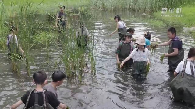 新华全媒+丨武汉：小微湿地户外课堂助力培养中小学生生态环保理念