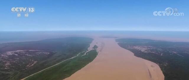 黄河三角洲自然保护区修复湿地28.2万亩