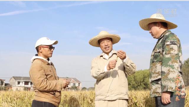 周维忠：提升粮食品质 守护粮食安全