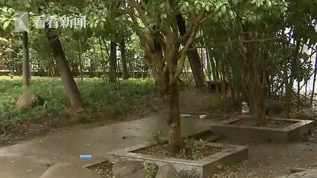 小区里接连有小猫离奇死亡 监控拍下这一幕…...