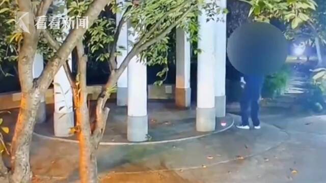 小区里接连有小猫离奇死亡 监控拍下这一幕…...