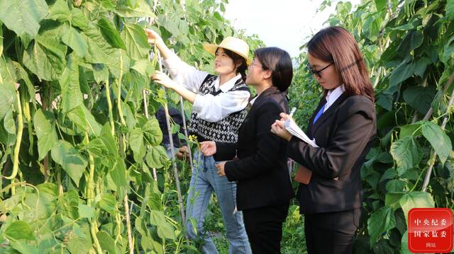 镜头丨做深做实基层监督