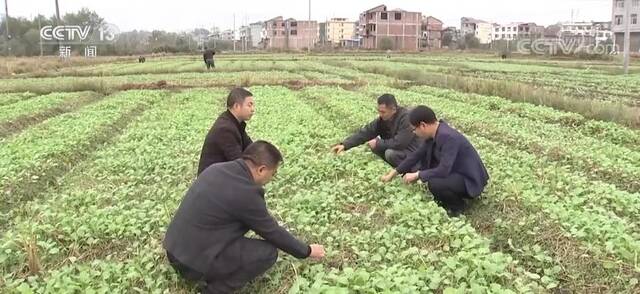 广大农户抢抓有利时机 扎实推进秋种工作