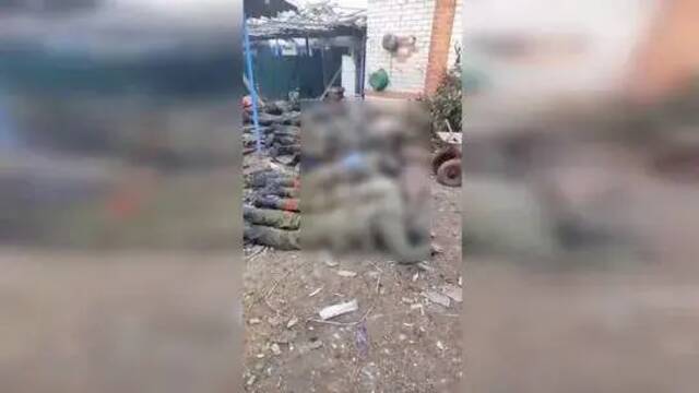 回应俄指控“乌士兵射杀俄战俘”视频，乌副总理：乌政府会调查