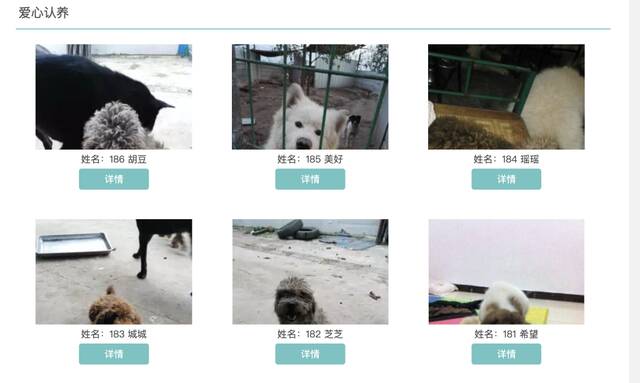 图为一家流浪动物领养机构的网页截图。