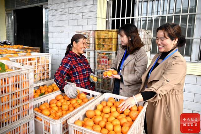 镜头丨以有力有效监督助力乡村振兴