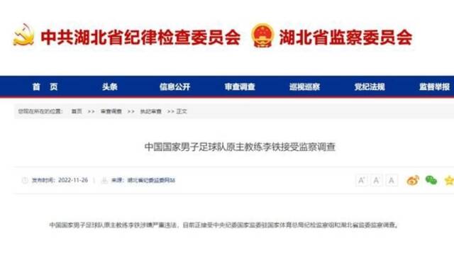 湖北省纪委监委网站截图。