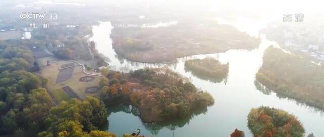 白塔湖湿地迎来大批越冬候鸟 生物多样性不断丰富