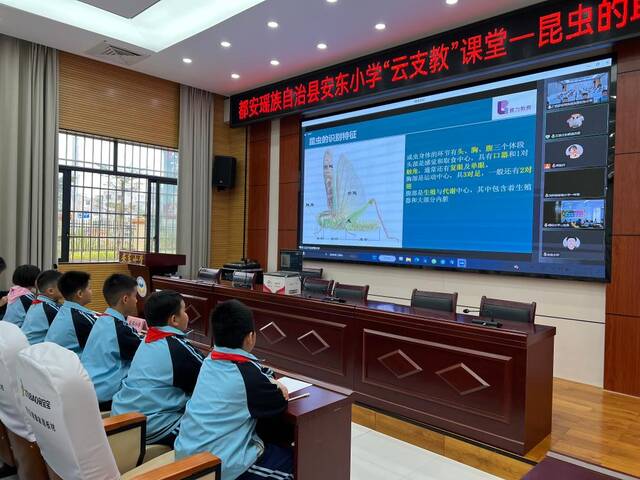 都安瑶族自治县安东小学的学生在“云支教”课堂进行学习。新华社记者黄浩铭摄