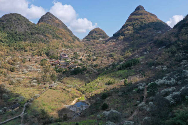 铜板屯春色（2021年2月12日摄）