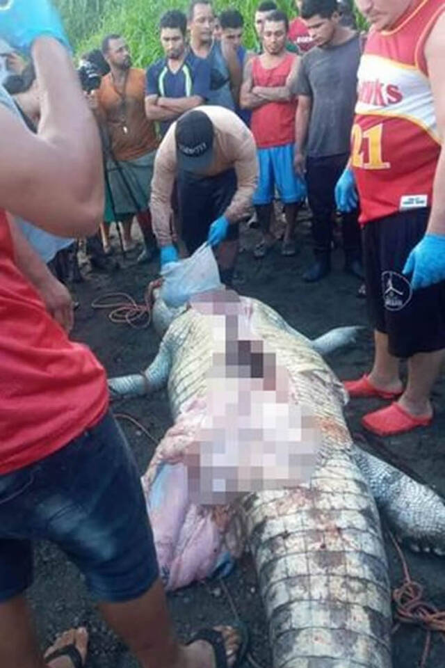 哥斯达黎加8岁男童玩耍时在爸妈面前被一条巨大鳄鱼拖走 1个月后找到碎尸