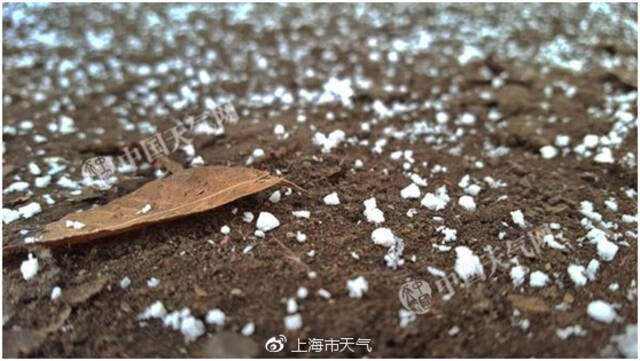 落在地面的霰。@上海市天气图