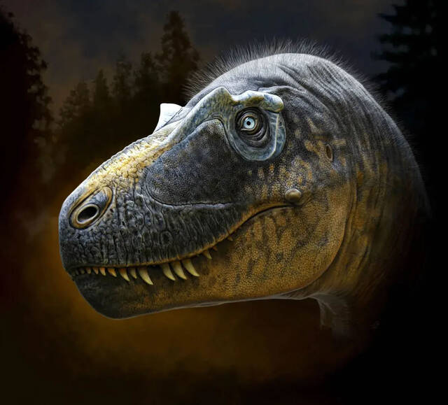 7650万年前的Daspletosaurus wilsoni化石填补了霸王龙研究史上长期存在的空白