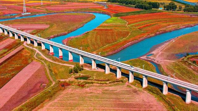 图片为高铁列车在哈大高铁线路上行驶。（图片由中国铁路沈阳局集团有限公司提供）