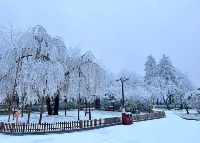 11月30日，雪后的江西庐山风景区。图源/中新图片网