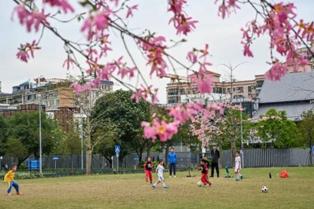 11月30日，广州市海珠区艺洲路，小朋友在草地上踢足球。