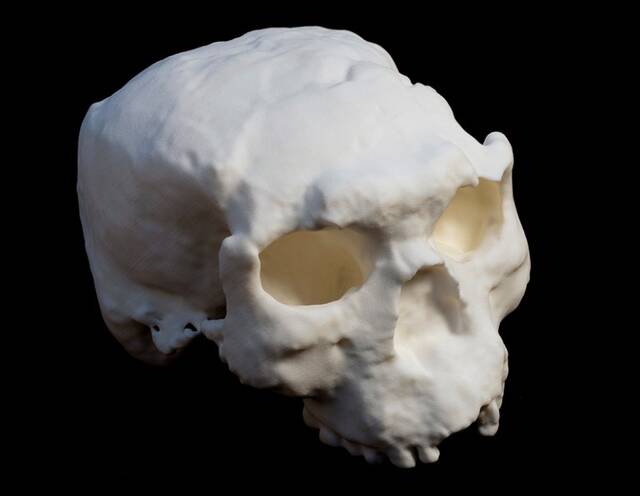 英国《自然》杂志：《在中国发掘的古代人类头骨可能是百万年前的直立人头骨》
