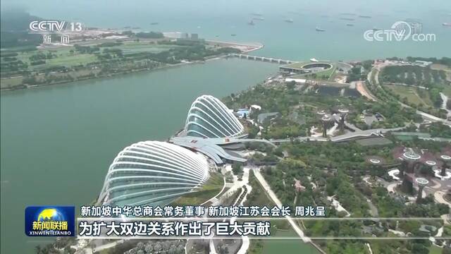 海外华侨华人沉痛悼念江泽民同志