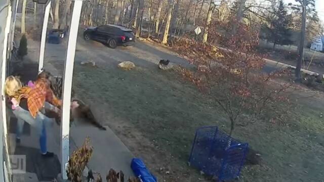 美国康乃狄克州5岁女童被攻击妈妈冲出大战发狂浣熊
