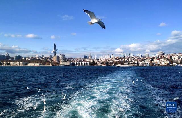 ▲这是当地时间2022年11月27日在土耳其伊斯坦布尔拍摄的初冬博斯普鲁斯海峡。图/新华社