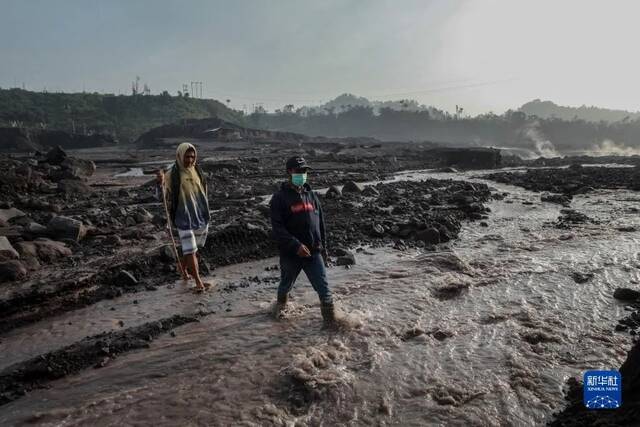 12月5日，在印度尼西亚东爪哇省卢马姜县萨皮图朗村，村民从受火山喷发影响的区域撤离图/新华社