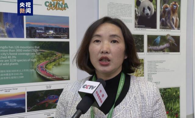 从“濒危”降为“易危” 中国熊猫保护经验分享全世界