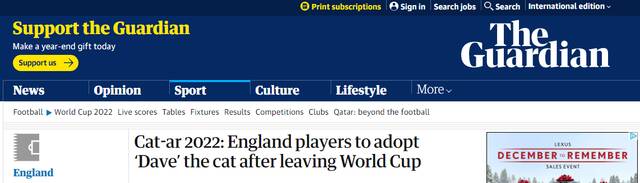 英媒：英格兰队没从世界杯“空手而归”——收养了只流浪猫