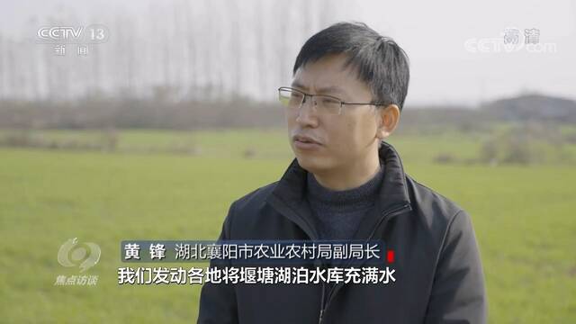 焦点访谈：拼出来的丰收年