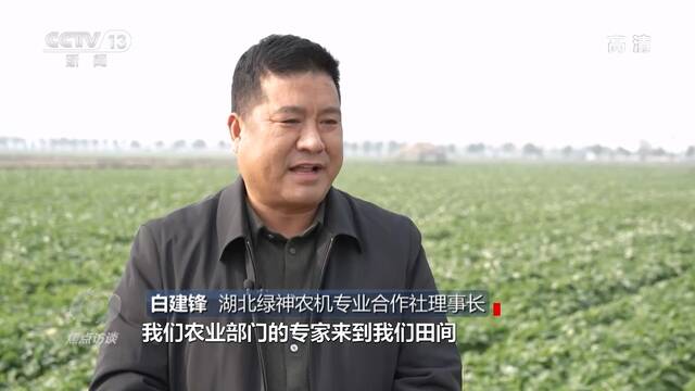 焦点访谈：拼出来的丰收年