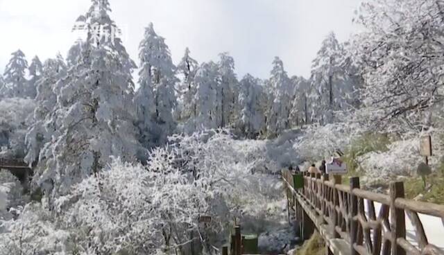 视频｜四川：瓦屋山迎来多场降雪 开启冰雪旅游季